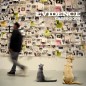 Evidence-Cats_and_Dogs